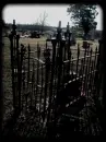 Cradle of death.