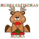 Merry Christmas - Wilma