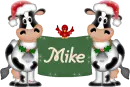 Xmas Cows - Mike