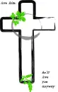 the cross