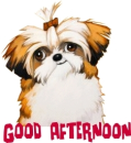 GOOD AFTERNOON