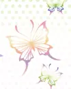 colorful butterfly 