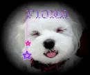 Fiona