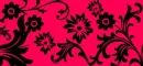 Pink and black flowers