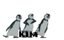 penguins dancing with name kim