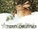Merry Christmas!