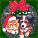 Merry Christmas!