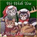Merry Christmas!