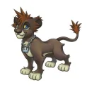 Sora Lion Awwww