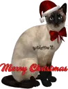 xmas kitty