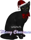 xmas kitty