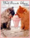 Best friends share