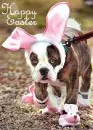 Happy Easter 