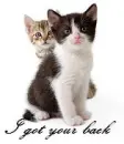 I got your back