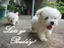 Lets go buddy!