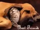 Best Friends