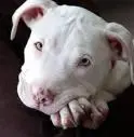 Cute 