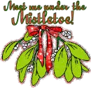   Meet me under the mistletoe