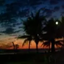 Paradise