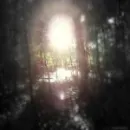 fairy's light