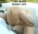Anti-Fur-wearing bunny