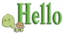 turtle hello