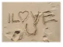 ily
