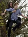 Spider Monkey