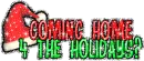 coming home 4 the holidays