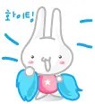 cute bunny