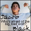 Jacob Black