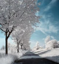 Winter Road