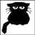 black cat