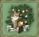 Cat with Christmas lights