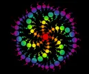 raver