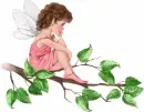 little fairy