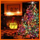 Marry Christmas & a Happy New Year