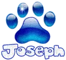 Paw Print