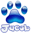 Paw Print