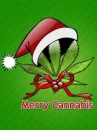 merry cannabis