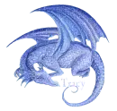 tracy dragon