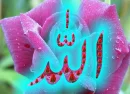 allah