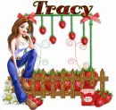 strawberry stand