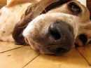 cute