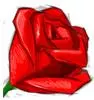 A rose