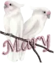 mary