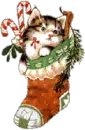 Christmas Kitten