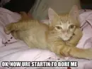 Your boring the kitty XD