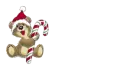 bear with a candy cane