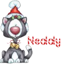 Neddy